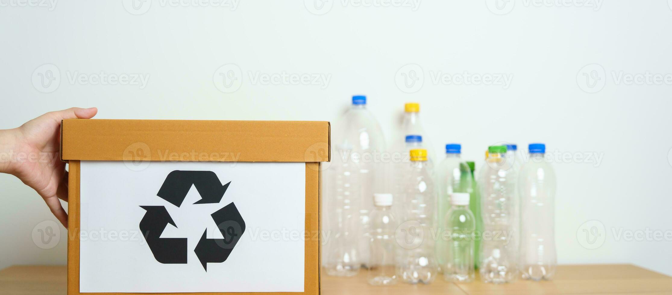 Volunteer keep plastic bottle into paper box at home or office. Hand Sorting Recycle garbage. Ecology, Environmental, pollution, Dispose recycling, waste management and trash Separation concept photo