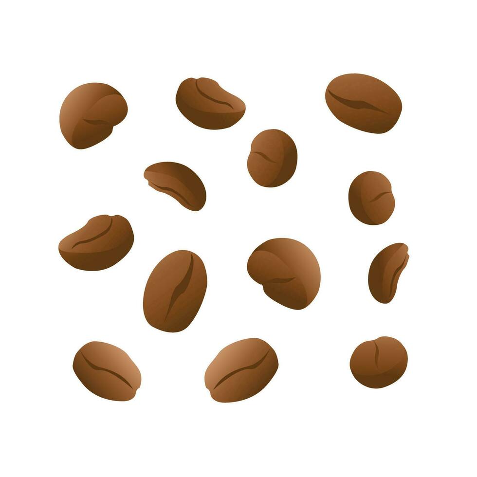 Coffee beans. Robusta, arabica. For posters, logos, labels, banners, stickers, product packaging design, etc. Vector isolated on white background