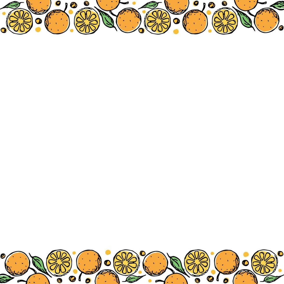 Fruit frame. Orange background vector