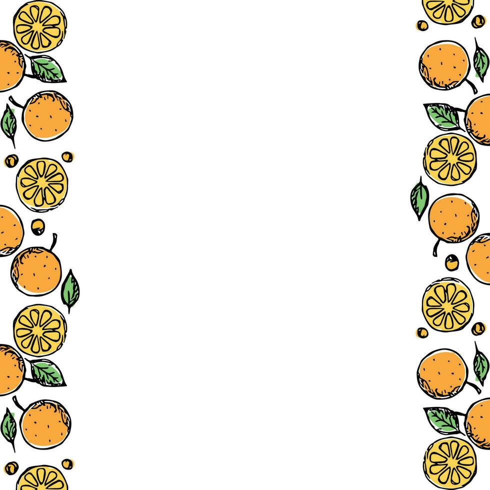 Fruta marco. naranja antecedentes vector