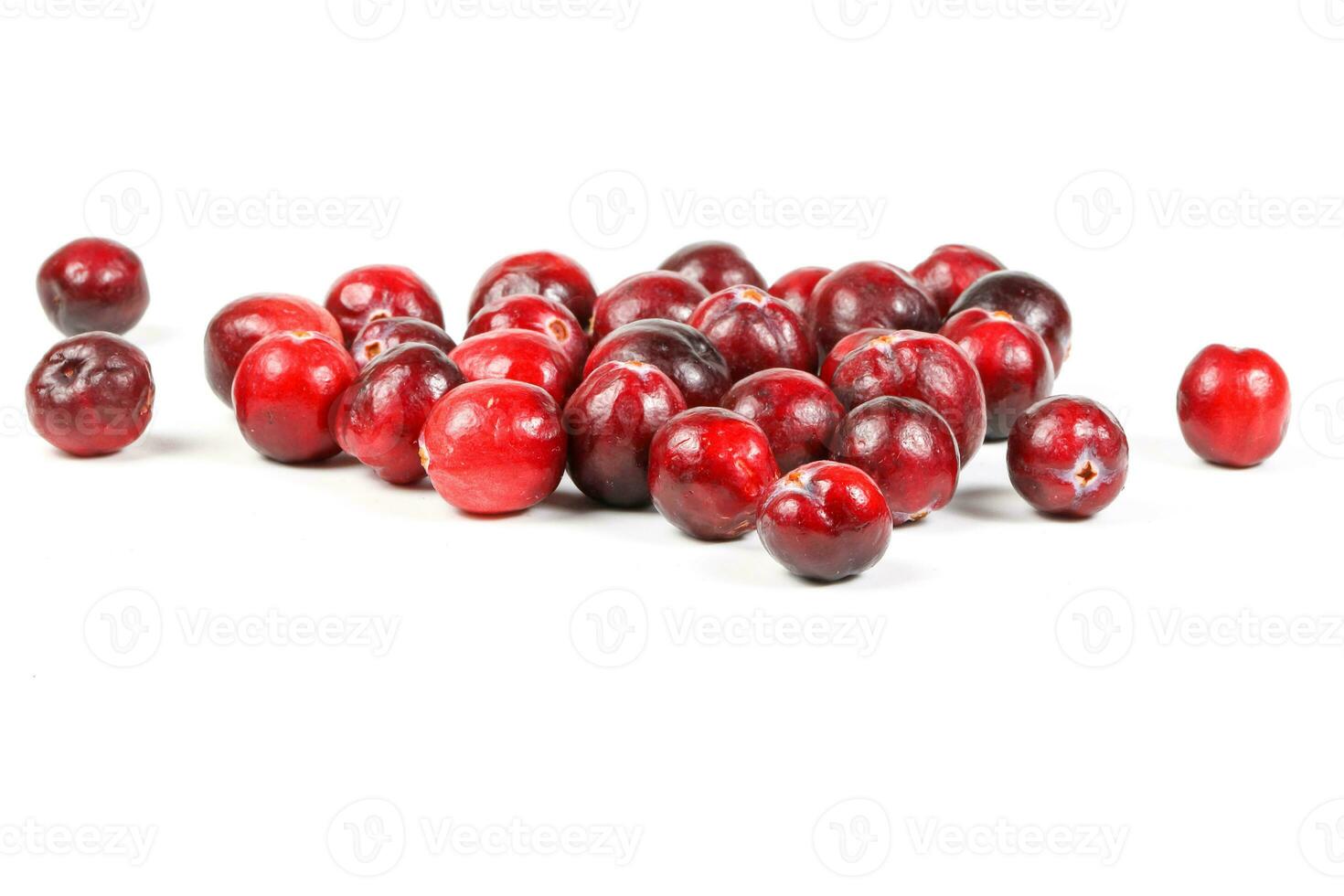 Small Red Cranberry photo