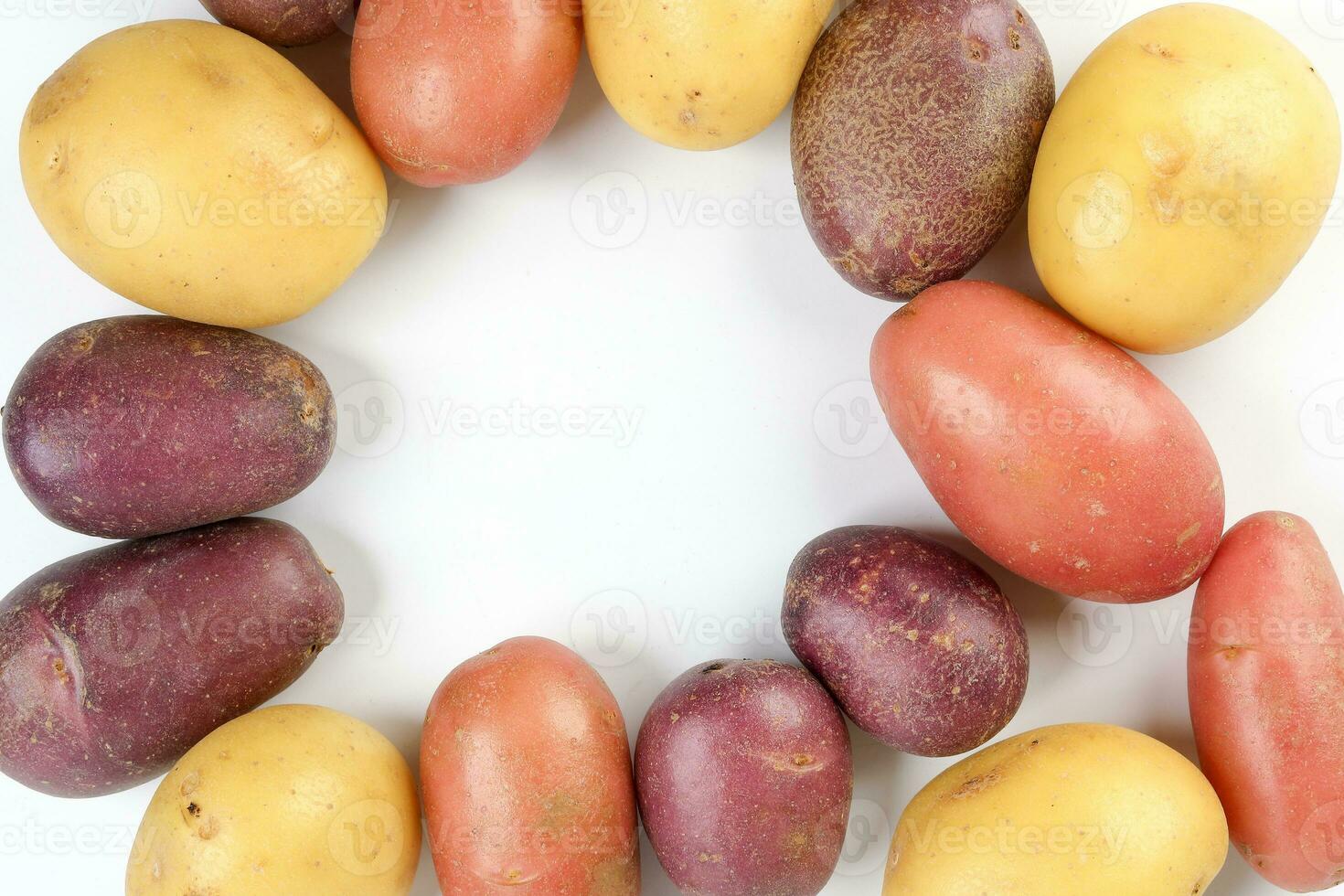 red purple yellow multi tri color small baby potato on white background frame border copy text space photo
