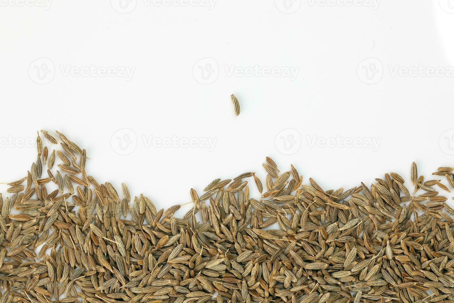 Cumin seeds dry whole powdered healthy aromatic spice jeera copy space border photo