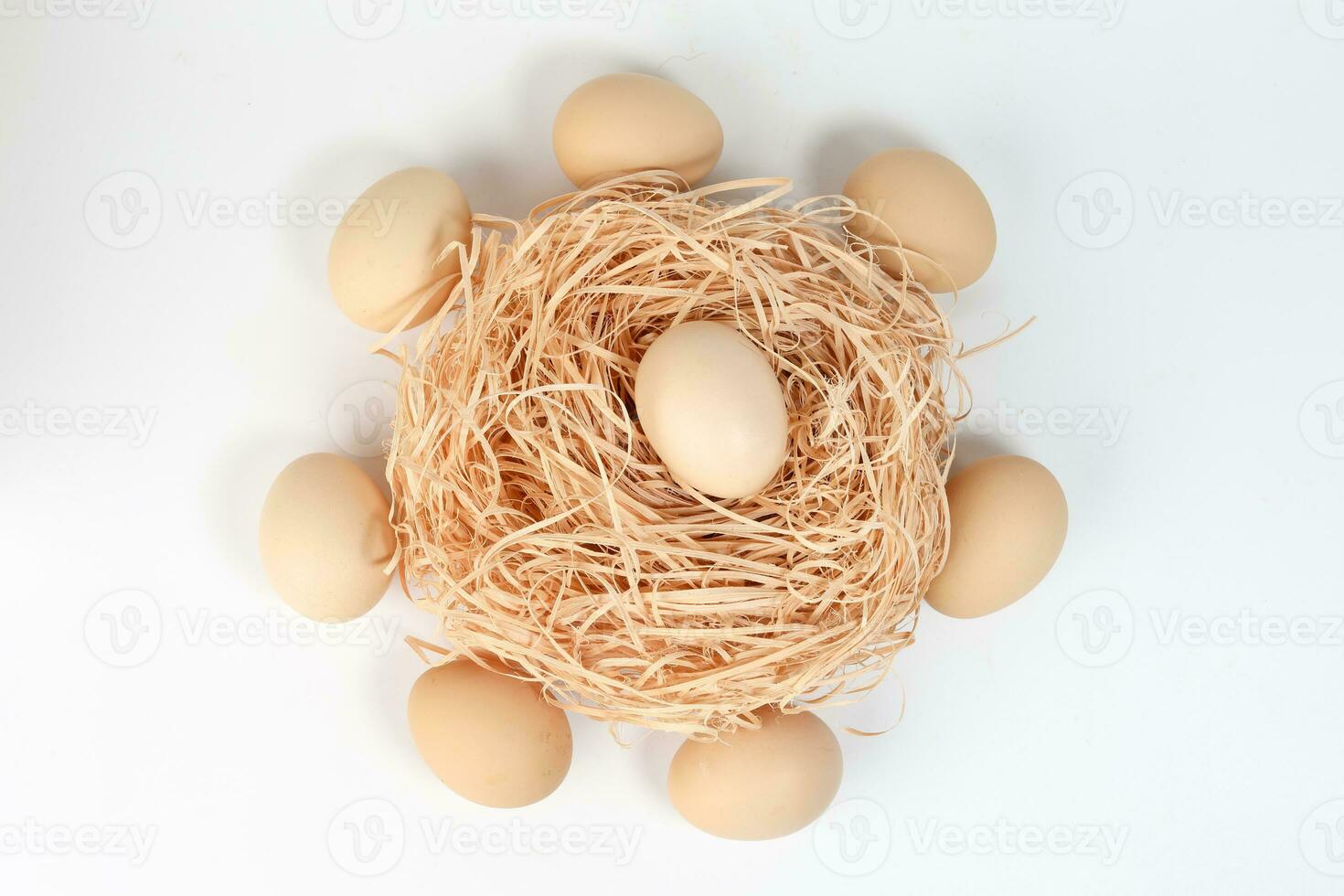 Egg on nest in circle of eggs on white background photo
