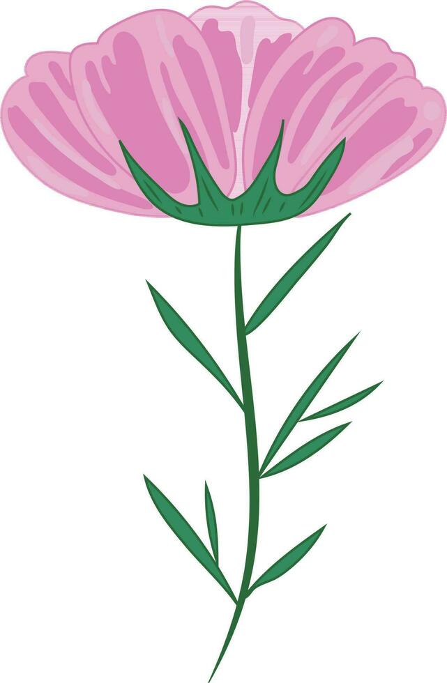 Carnation Flower Illustration Design Graphic Element Art Card vector