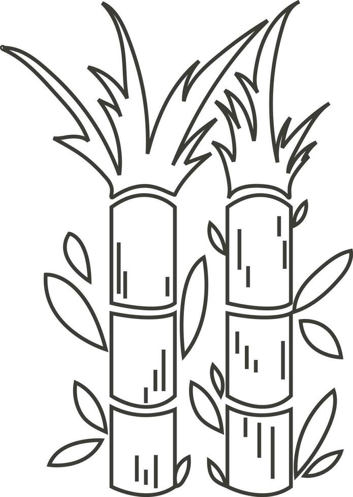 Drawn Sugarcane Sugar Cane Illustration vector