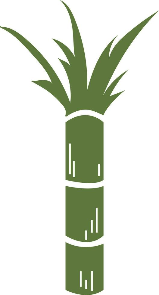 Drawn Sugarcane Sugar Cane Illustration vector