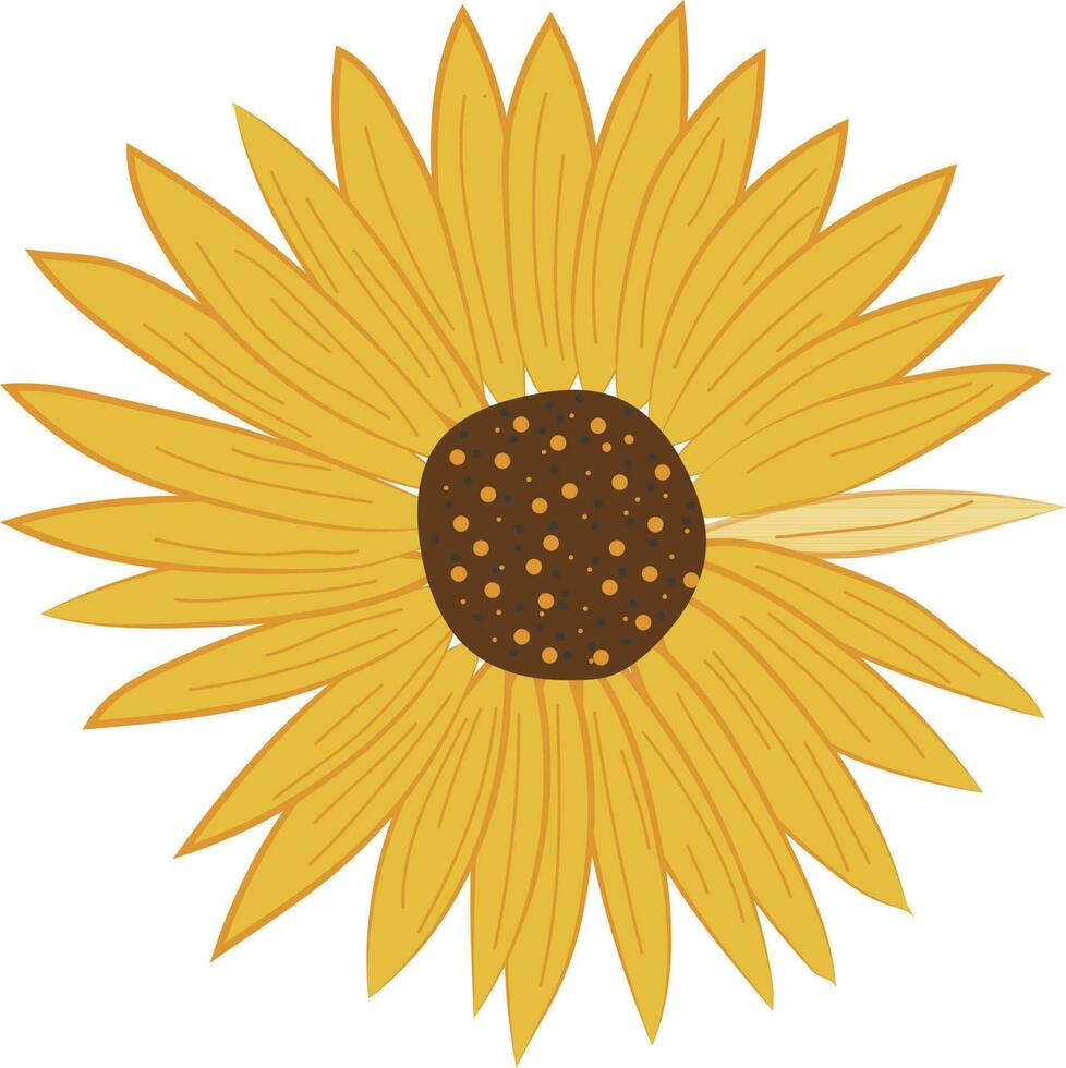 Sunflower Flower Illustration Design Graphic Element Art Card vector