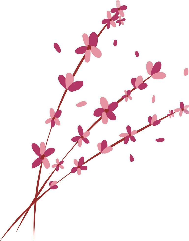 Sakura Flower Illustration Design Graphic Element Art Card vector