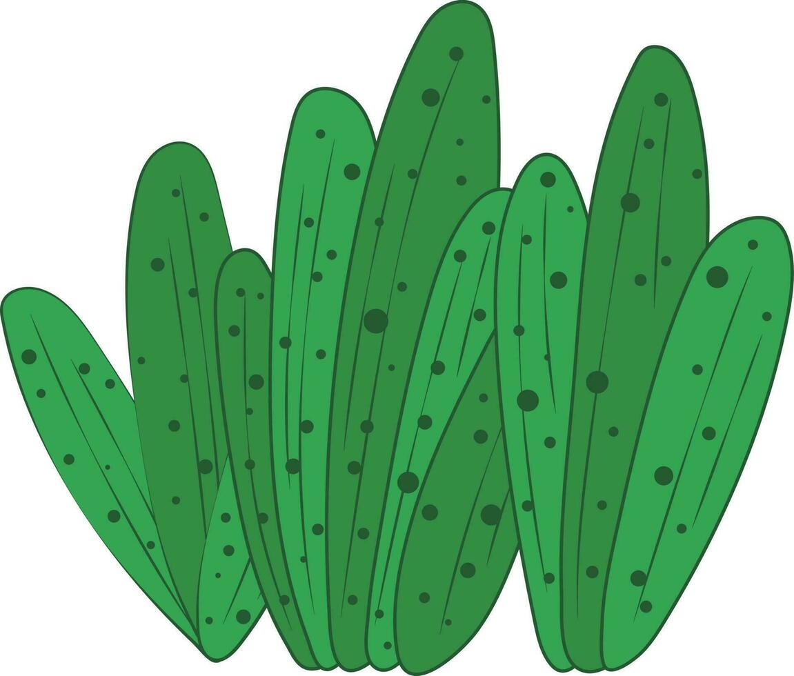 Cactus Rustic Organic Leaves Botanical Sketches Illustration Plant Art vector