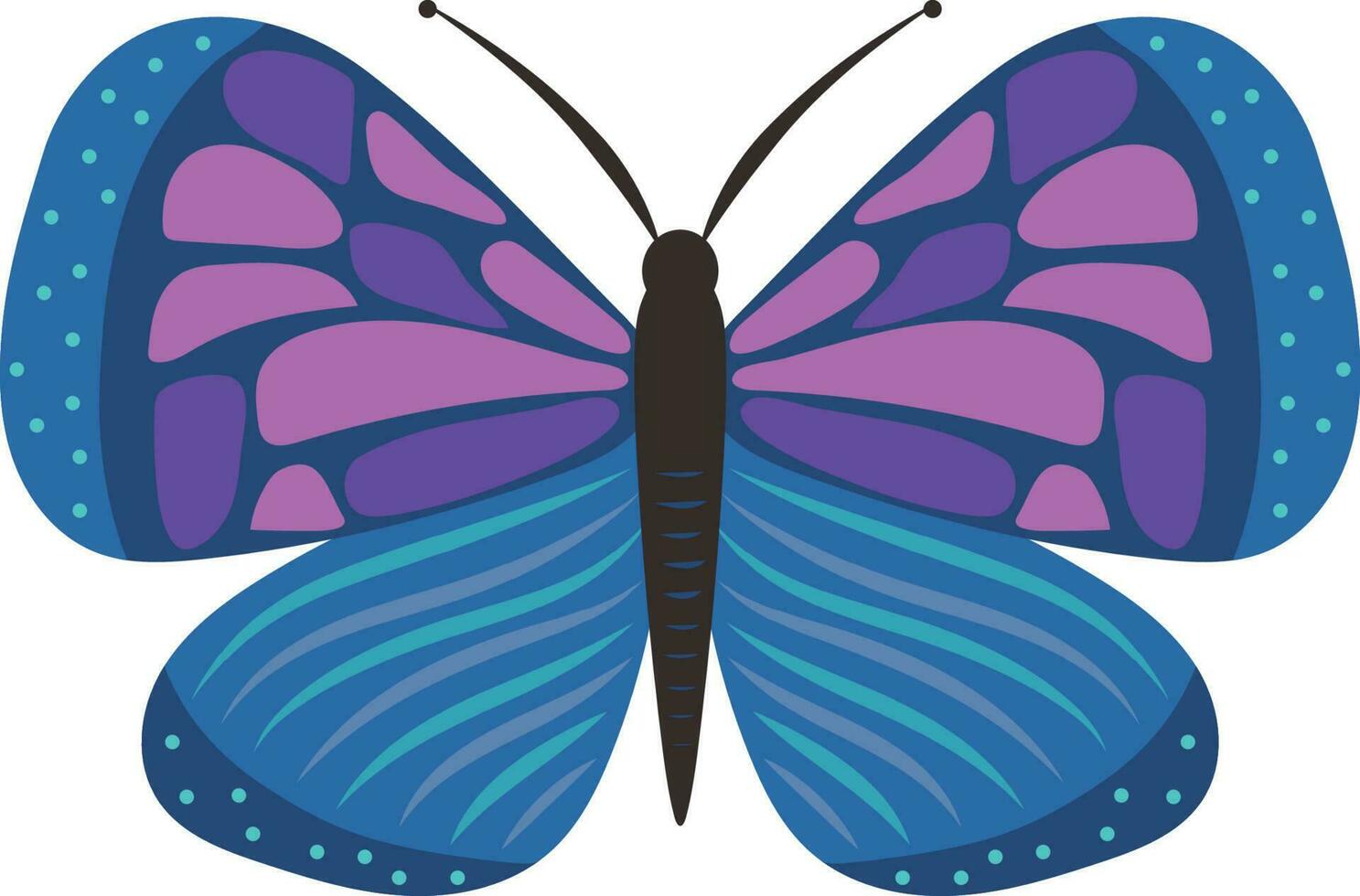 Colorful Butterfly Insect Natural Decor Celebration Spring Season Illustration Graphic Element Art Card vector