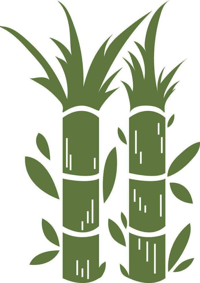 Drawn Sugarcane Sugar Cane Illustration vector