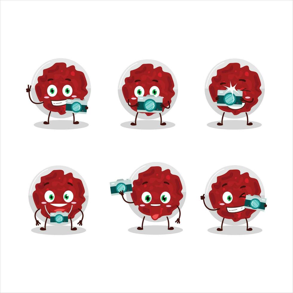 Photographer profession emoticon with mashed cranberry cartoon character vector