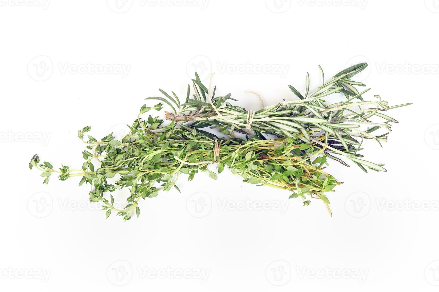 Rosemary Thyme green herb bundle on white background photo