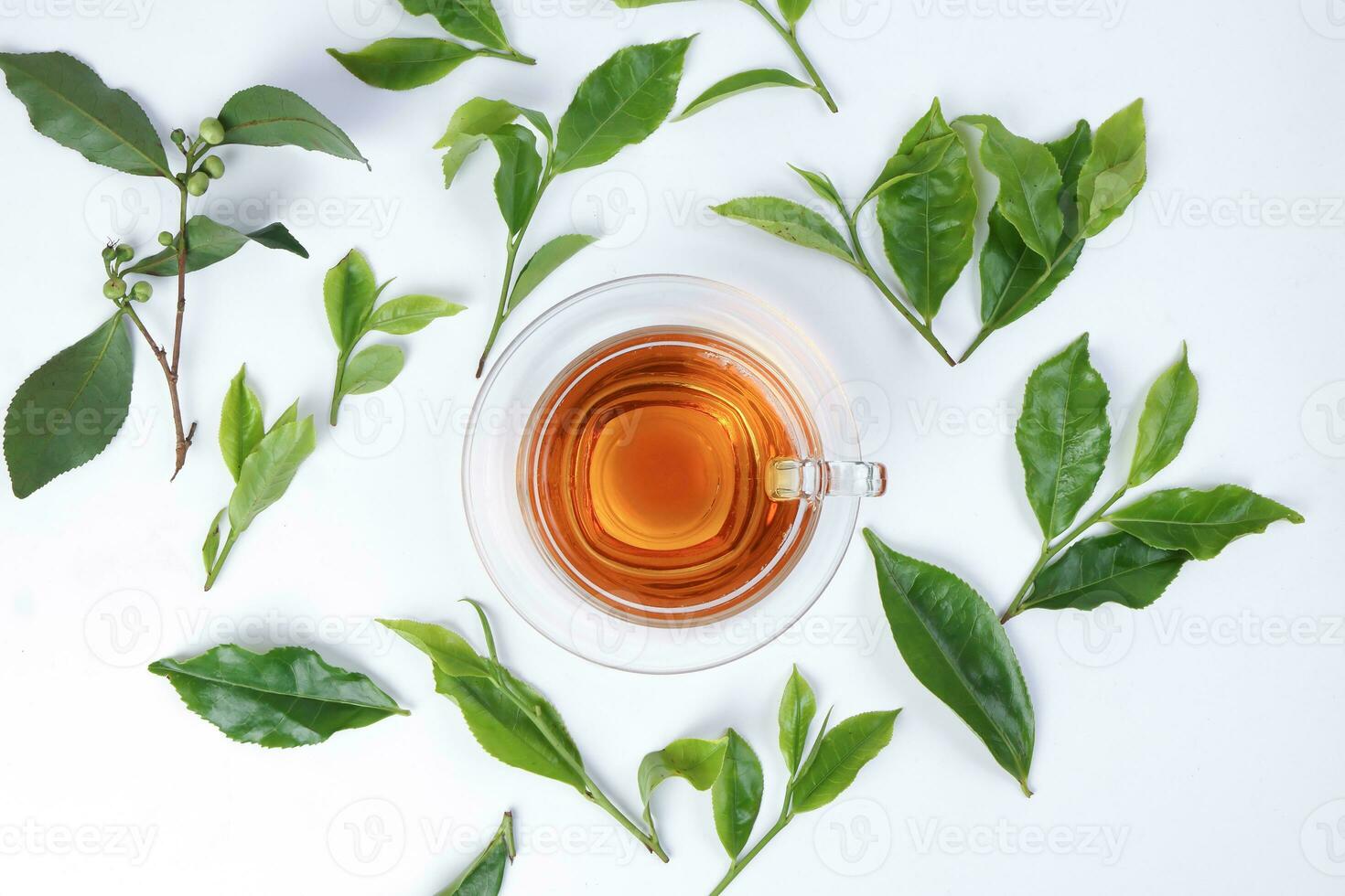 different types of fresh raw green tea leaf flower bud transparent glass teacup liquid tea on white background top view photo