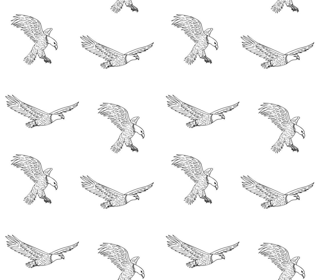Vector seamless pattern of hand drawn eagle