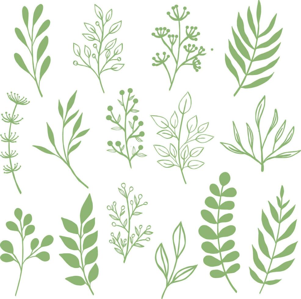 vector set illustration green leaf simple shape