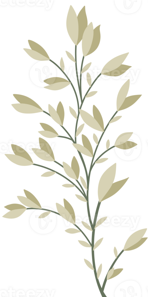 Simple Botanical elements png