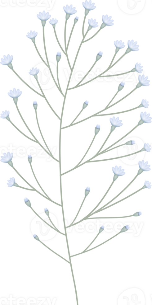 Simple Botanical elements png