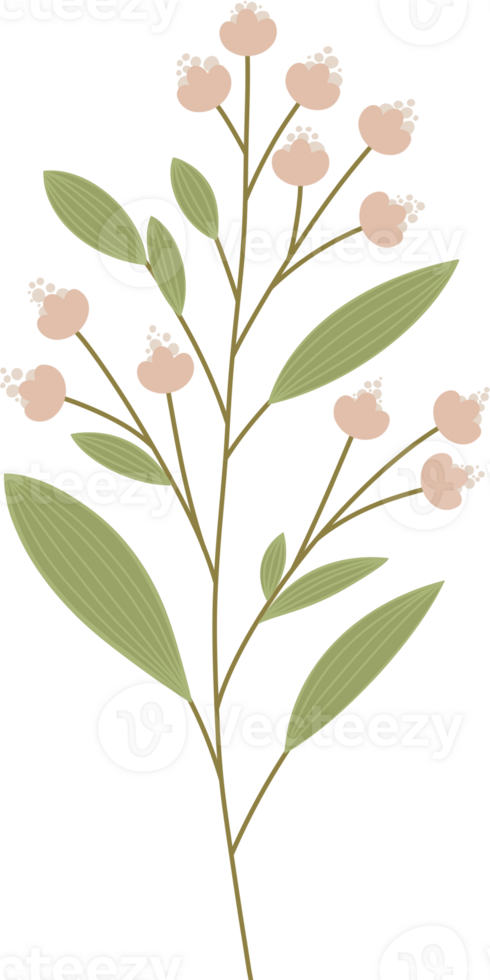 Simple Botanical elements png