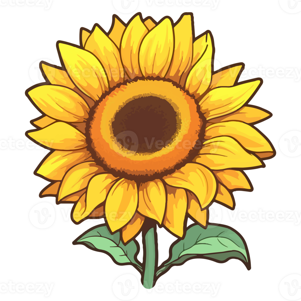 Sunflower modern pop art style, Sunflower illustration, simple creative design, . png
