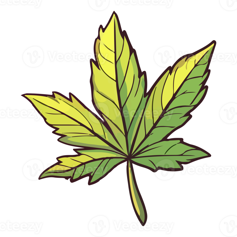Colorful Marijuana Weed Leaf modern pop art style, Cannabis Sticker, pastel cute colors, . png