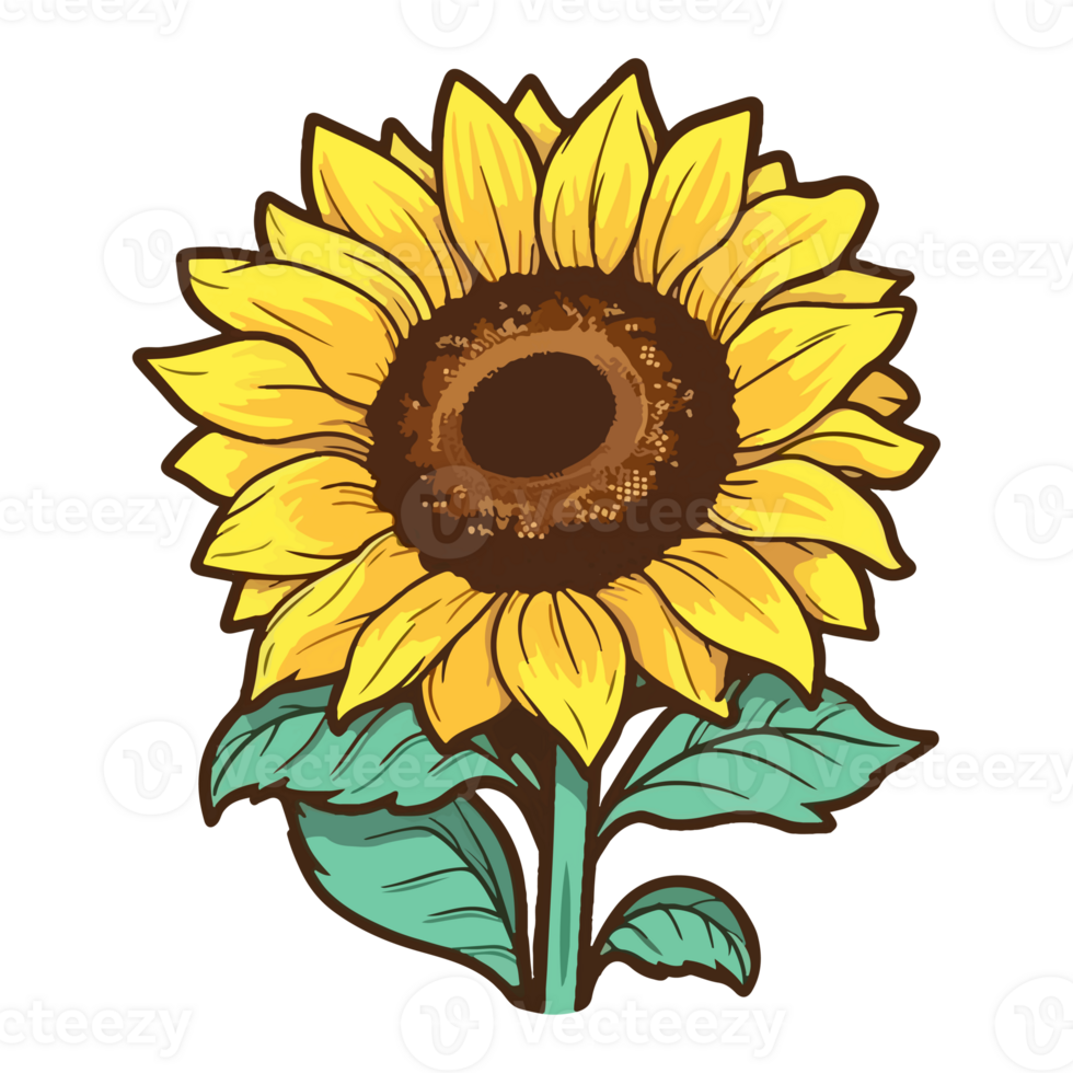 Sunflower modern pop art style, Sunflower illustration, simple creative design, . png