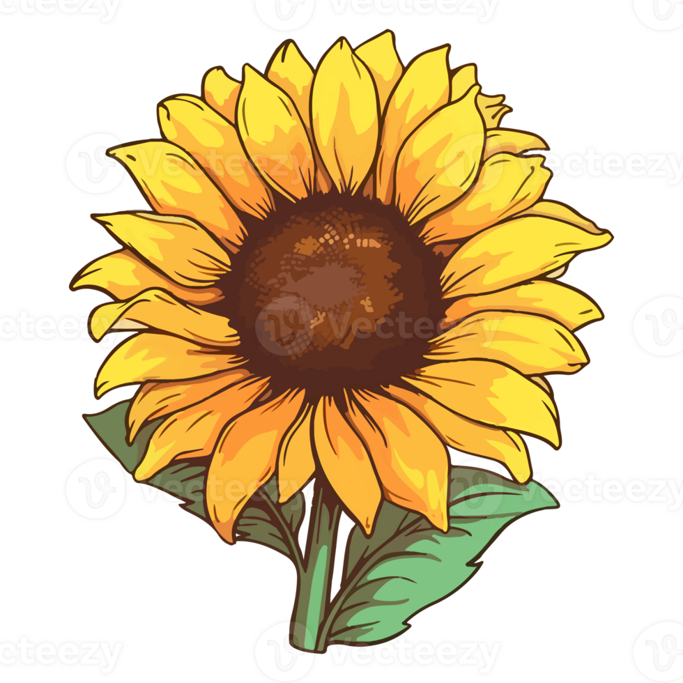 Sunflower modern pop art style, Sunflower illustration, simple creative design, . png