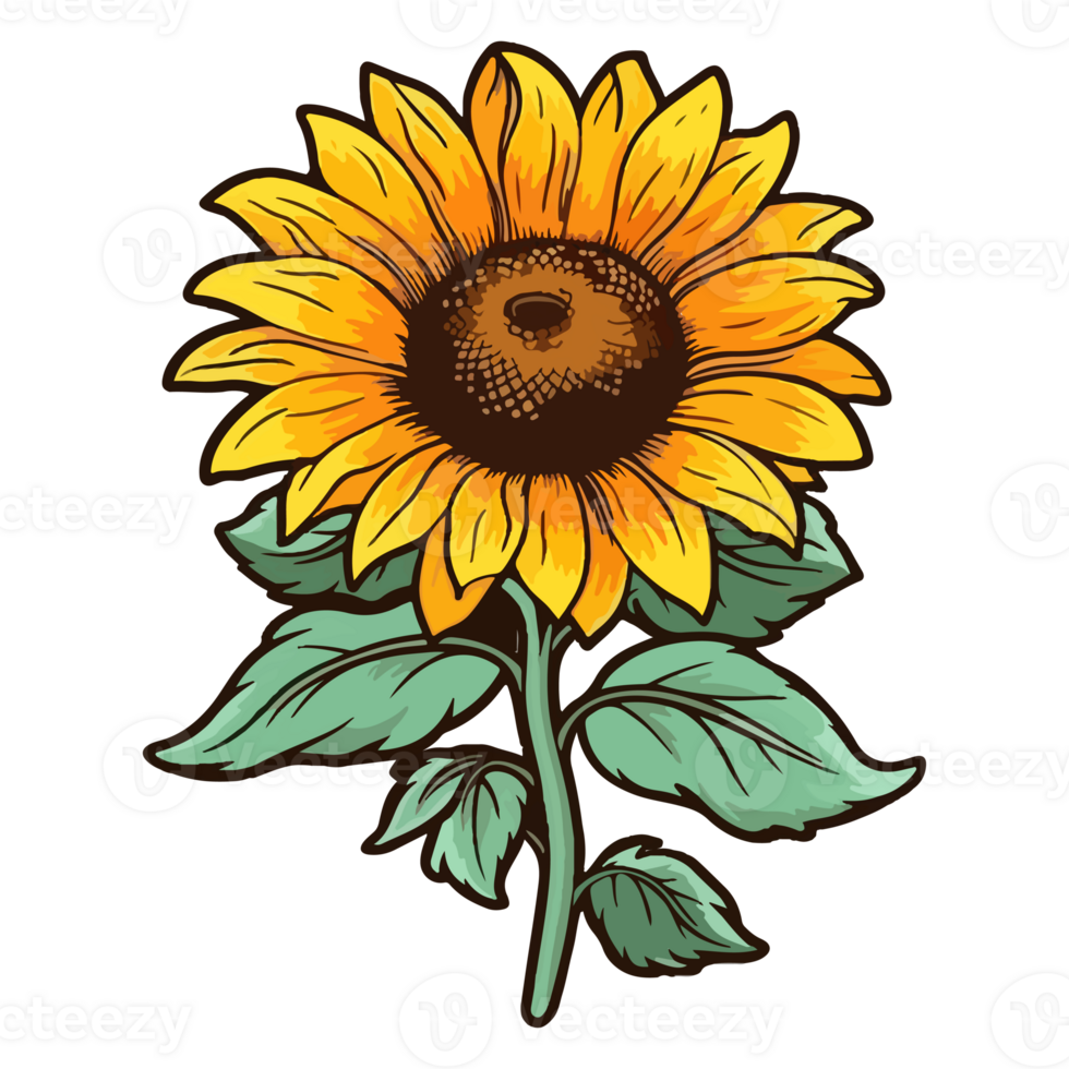 Sunflower modern pop art style, Sunflower illustration, simple creative design, . png