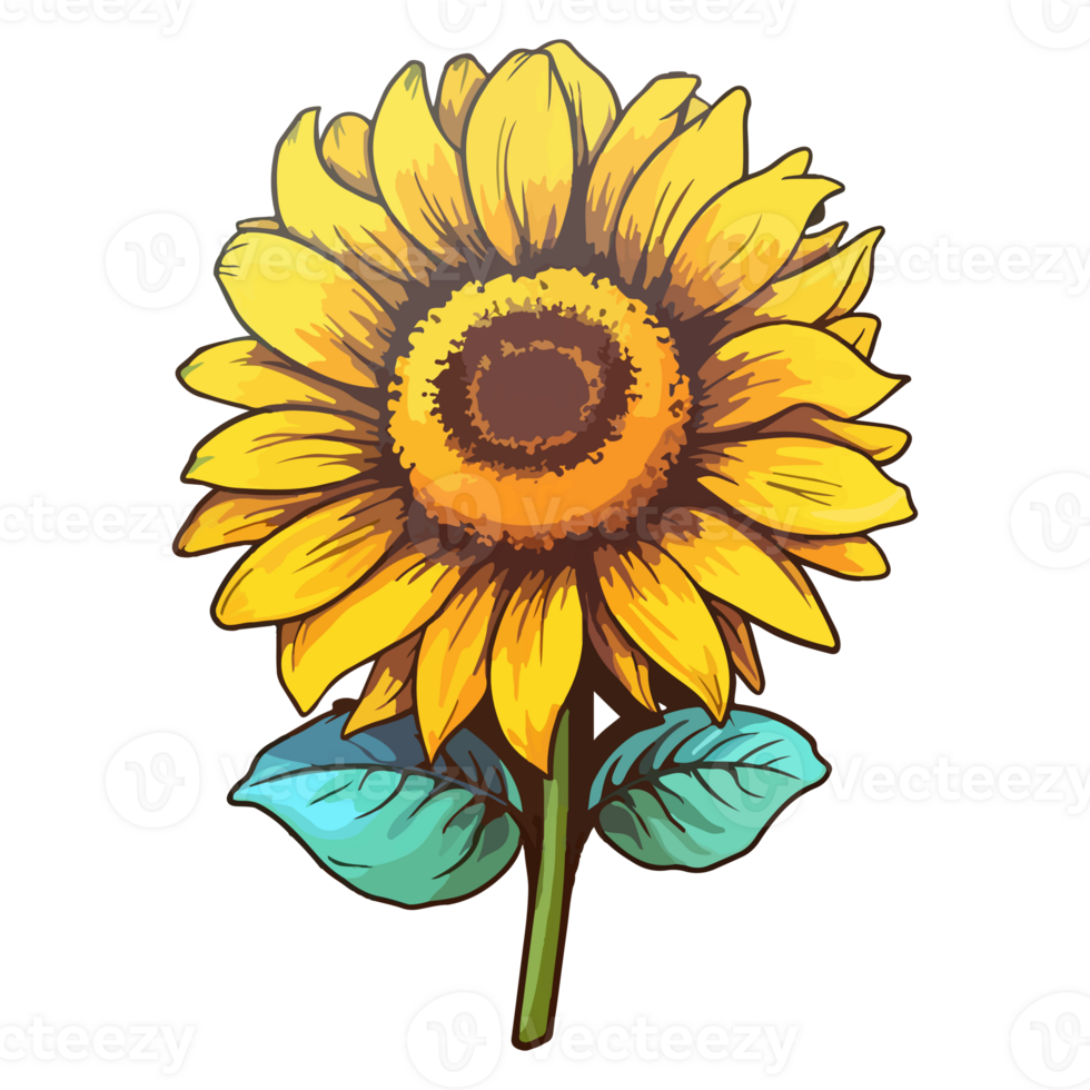 Sunflower modern pop art style, Sunflower illustration, simple creative design, . png