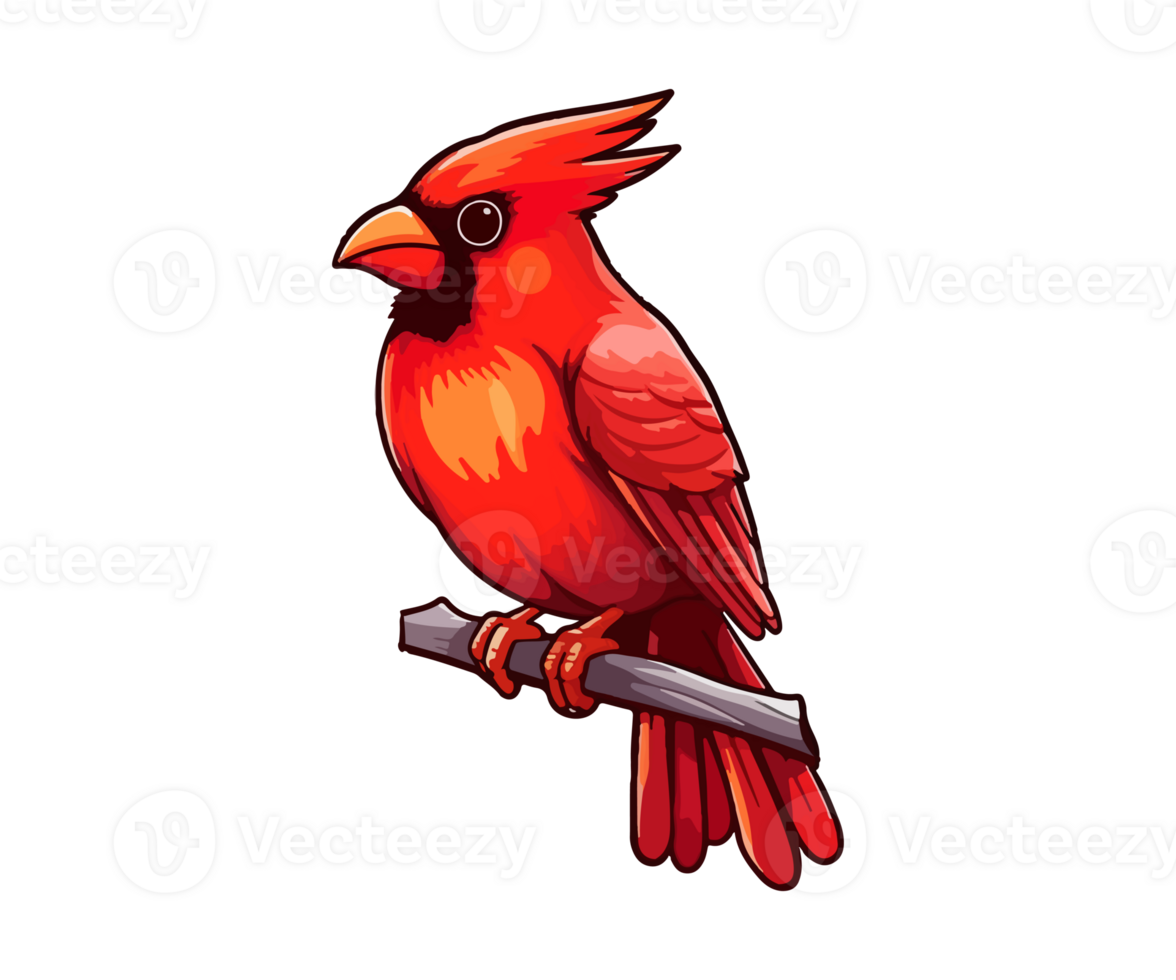 Red cardinal on tree branch, Red cardinal Logo, Red cardinal Sticker, . png