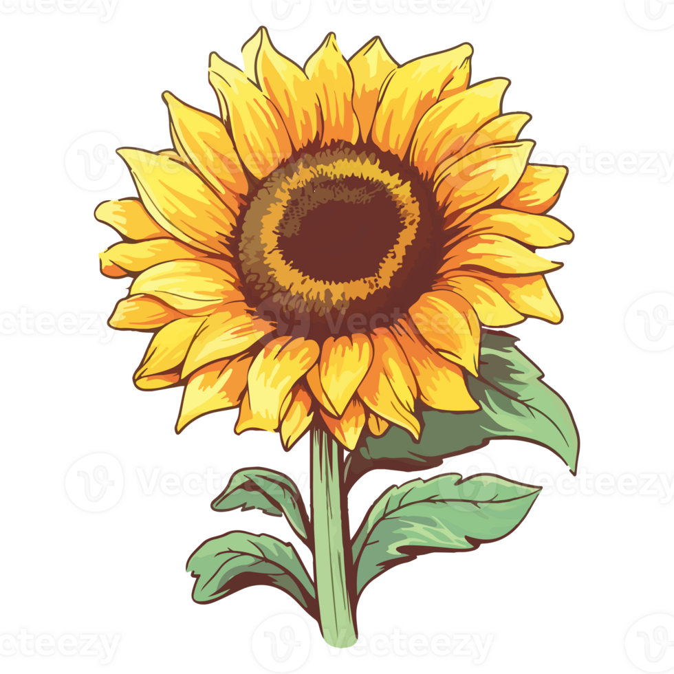 Sunflower modern pop art style, Sunflower illustration, simple creative design, . png