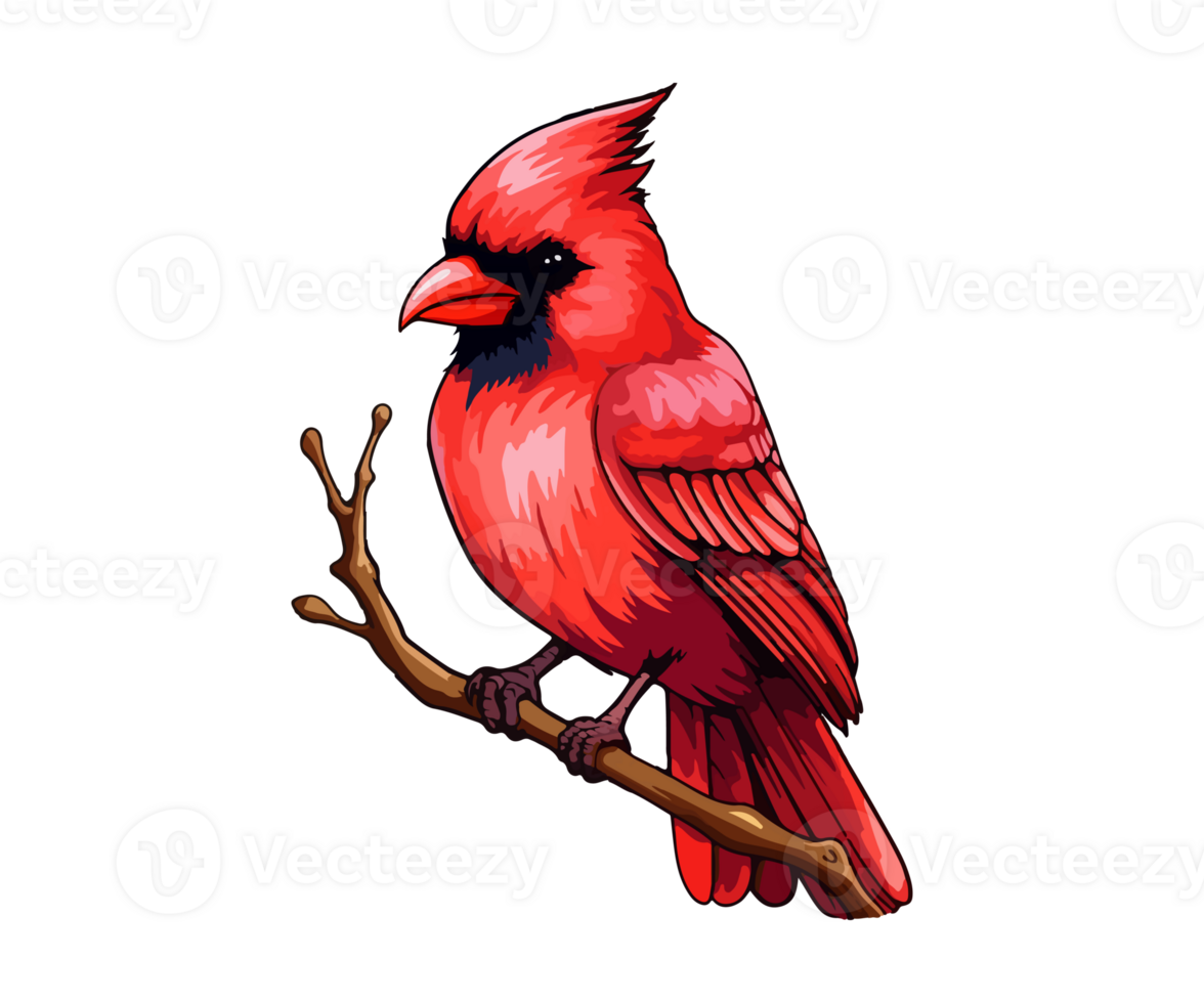 Red cardinal on tree branch, Red cardinal Logo, Red cardinal Sticker, . png