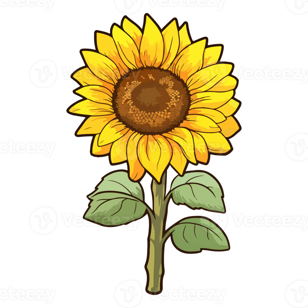 Sunflower modern pop art style, Sunflower illustration, simple creative design, . png
