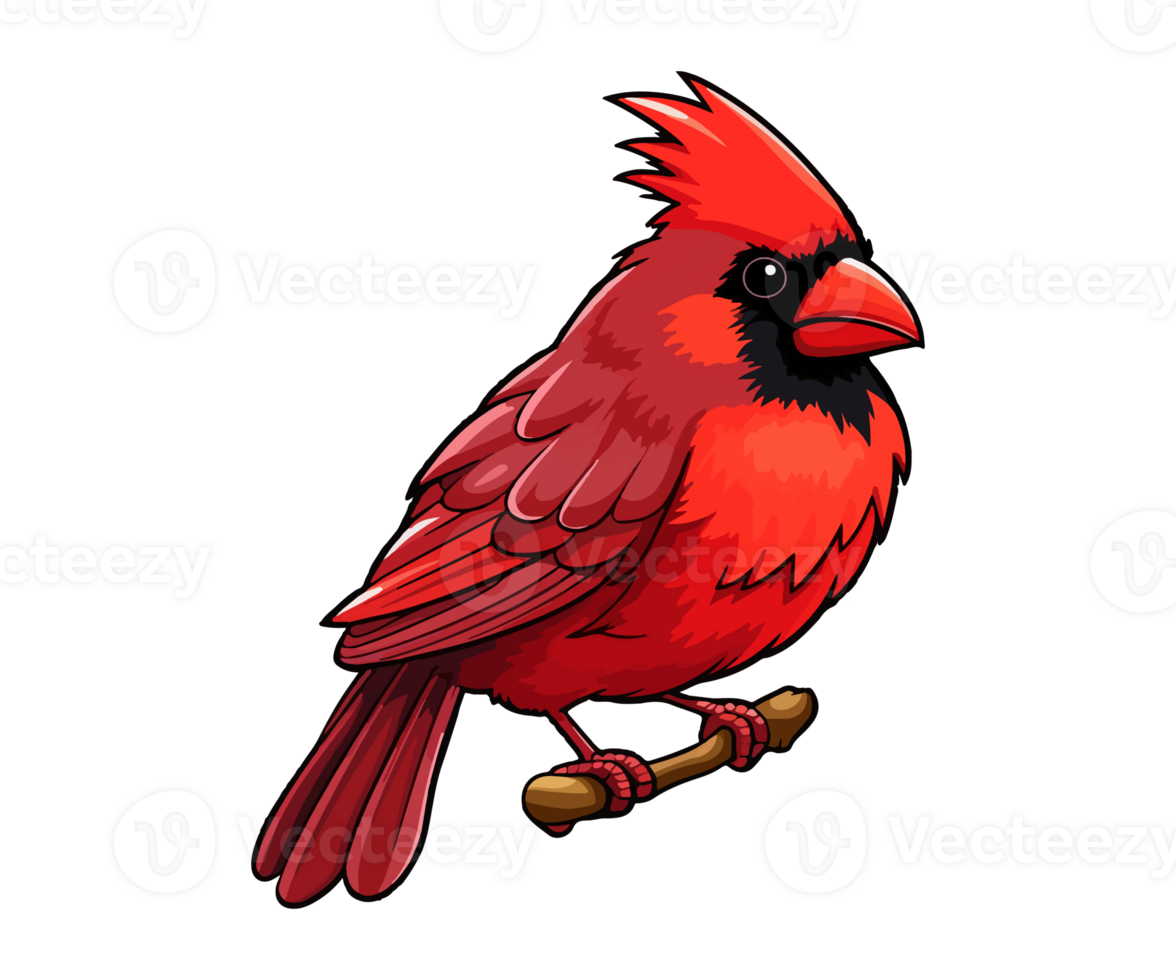 Red cardinal on tree branch, Red cardinal Logo, Red cardinal Sticker, . png