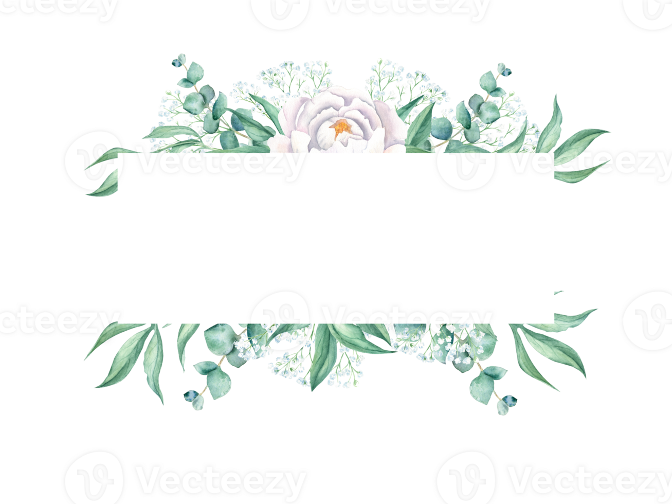 Watercolor horizontal frame, white peony, eucalyptus and gypsophila branches. Hand drawn botanical illustration. For wedding, greeting cards, baby shower, banners, blog templates, logos. png