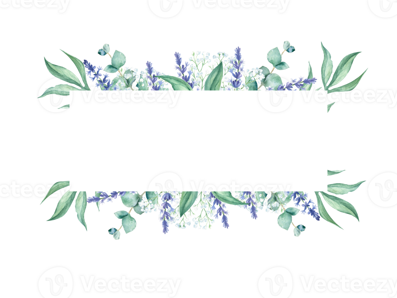 Watercolor horizontal frame, eucalyptus, gypsophila and lavender branches. Hand drawn botanical illustration. For wedding, greeting cards, baby shower, banners, blog templates, logos. png