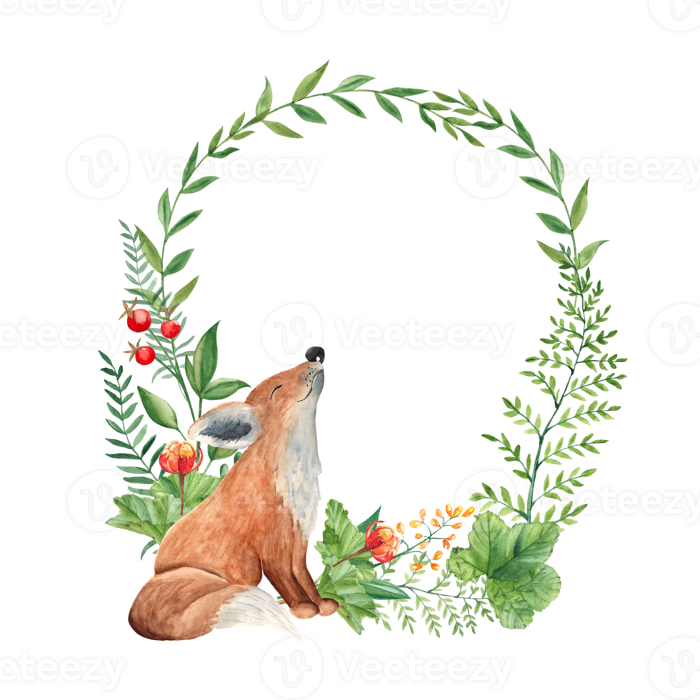 Woodland baby fox animal watercolor wreath with green branches and leaves, fern, cloudberry and red berries. Floral illustration for nursery, greeting cards, invitations, save the date, logos. png
