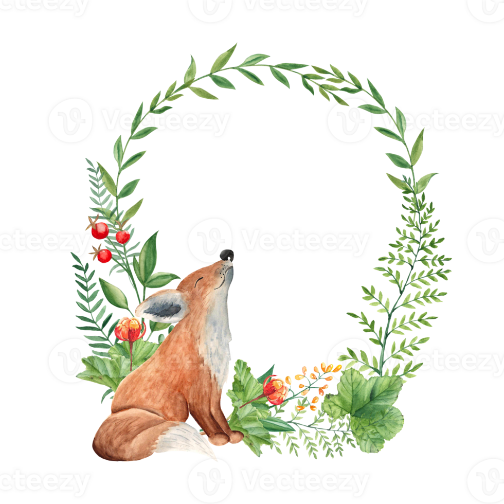 Woodland baby fox animal watercolor wreath with green branches and leaves, fern, cloudberry and red berries. Floral illustration for nursery, greeting cards, invitations, save the date, logos. png