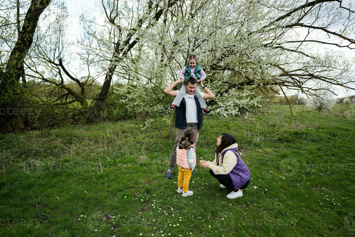 Family with two daughters in spring meadow on the background of a flowering tree. photo