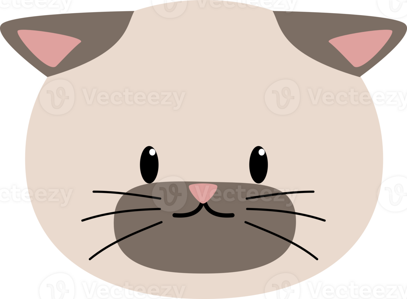 cat sit cute black and orange partial png