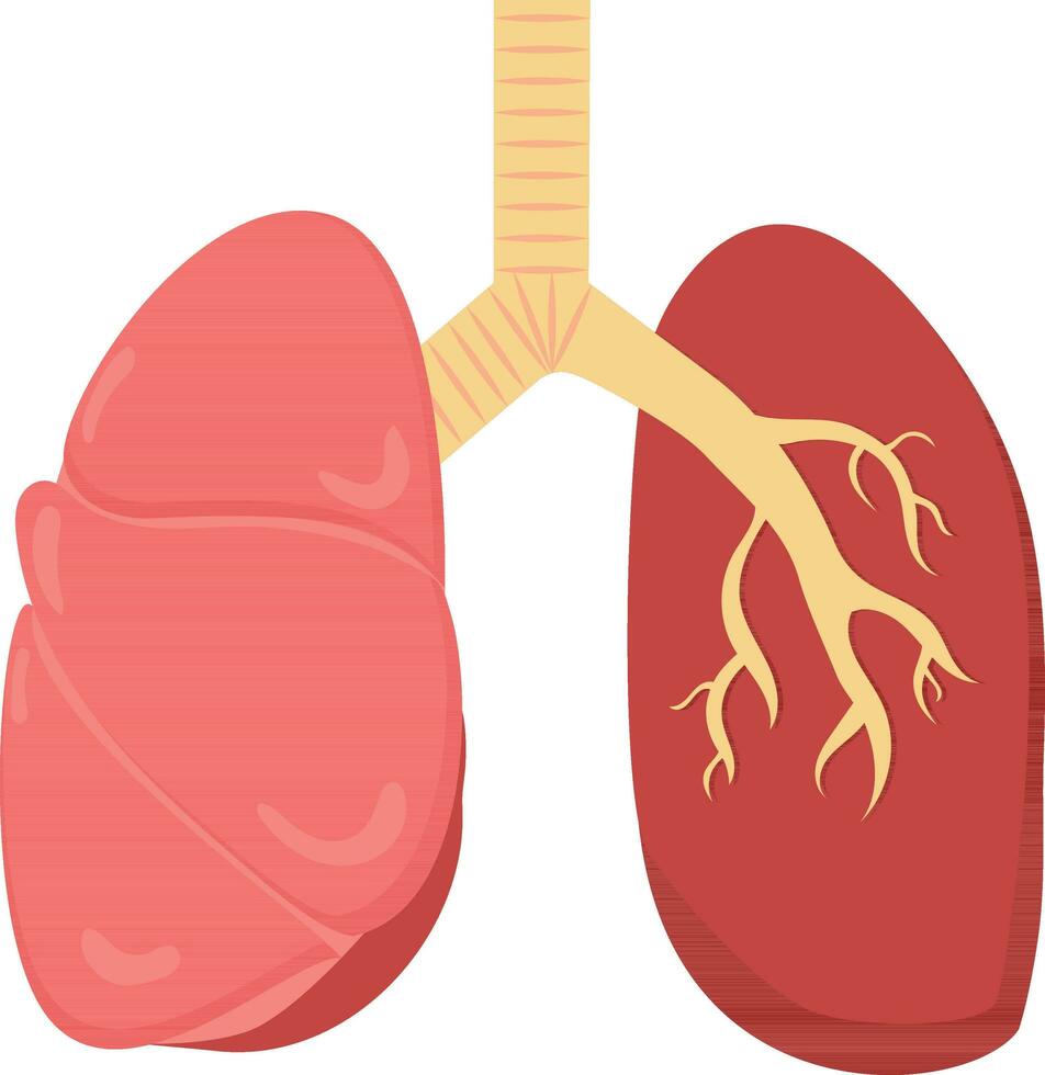 Red And Pastel Yellow Lungs Icon In Flat Style. vector