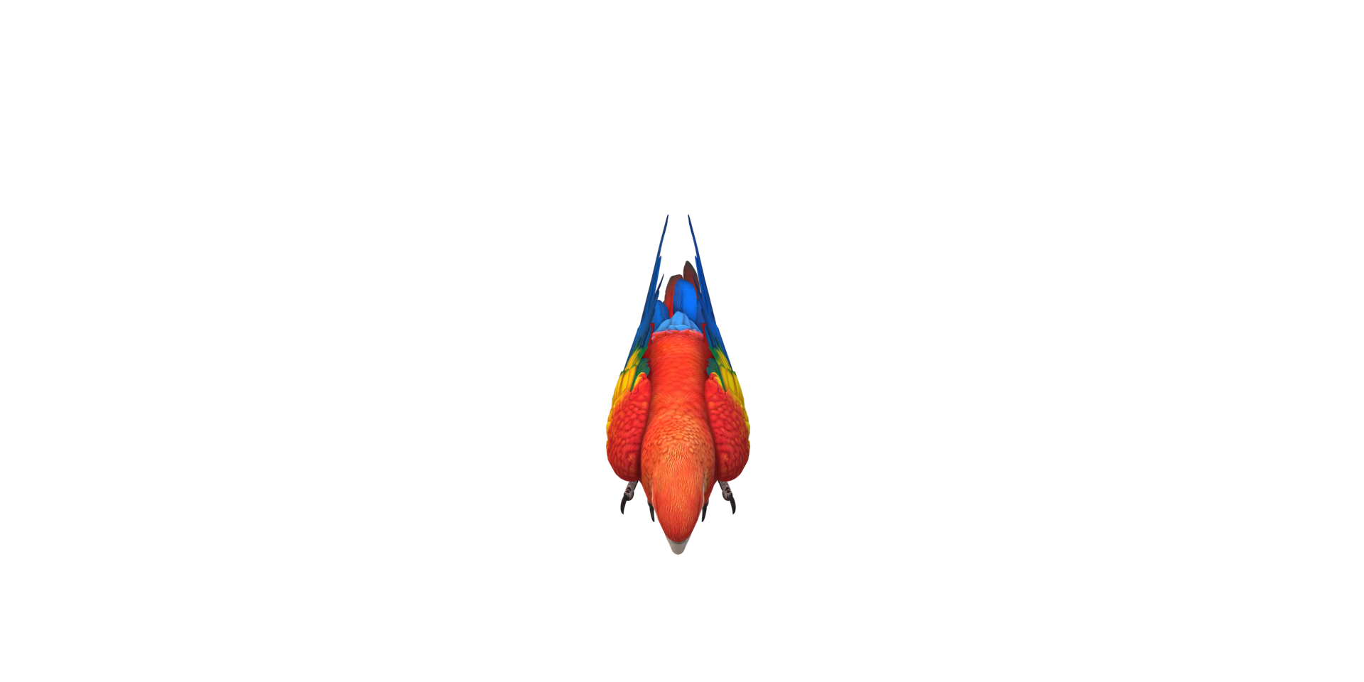 Parrot isolated on a Transparent Background png