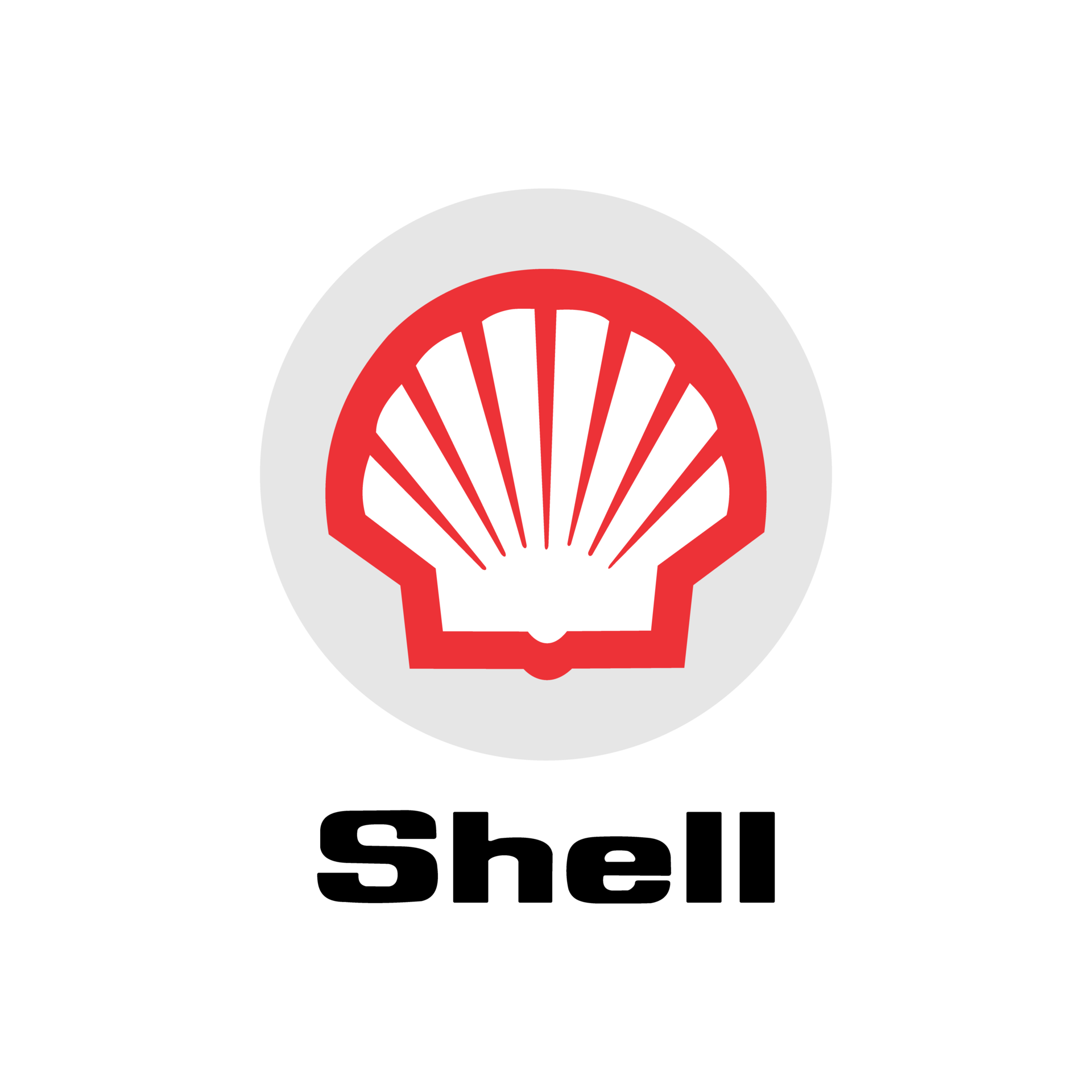 Shell logo transparent PNG 24555207 PNG