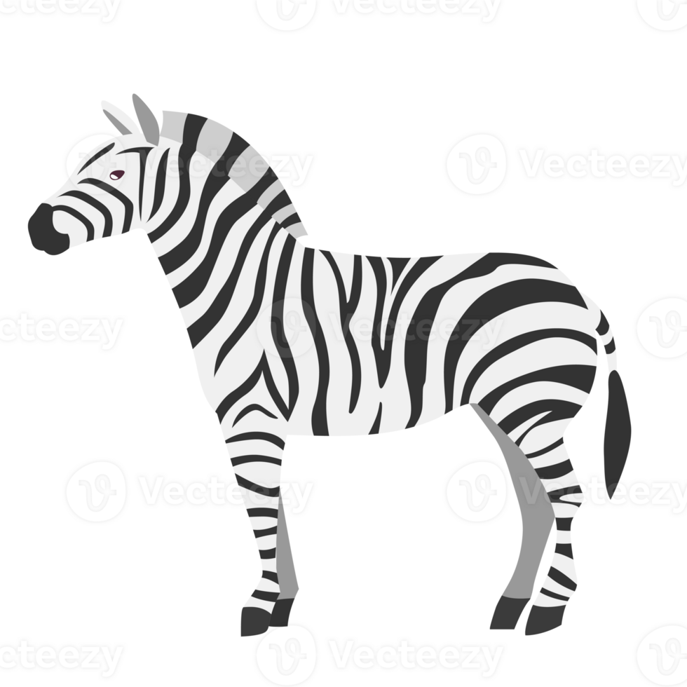 Zebra cute cartoon png