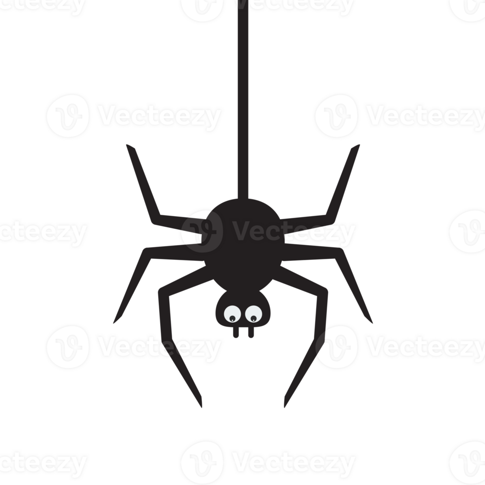 Spider cute cartoon png