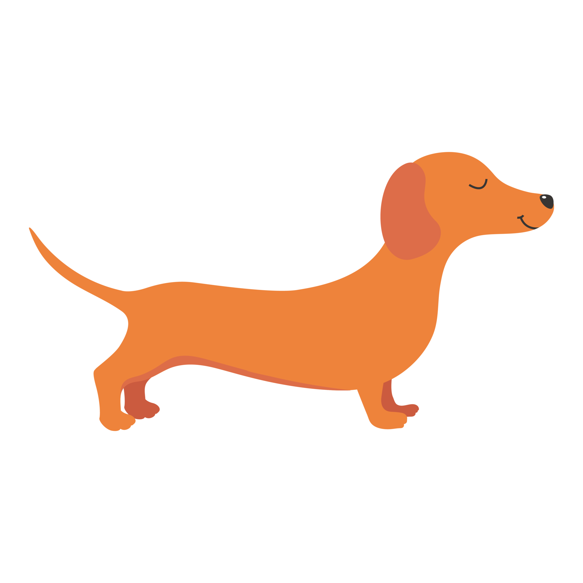 perro salchicha perro animal 24555844 PNG