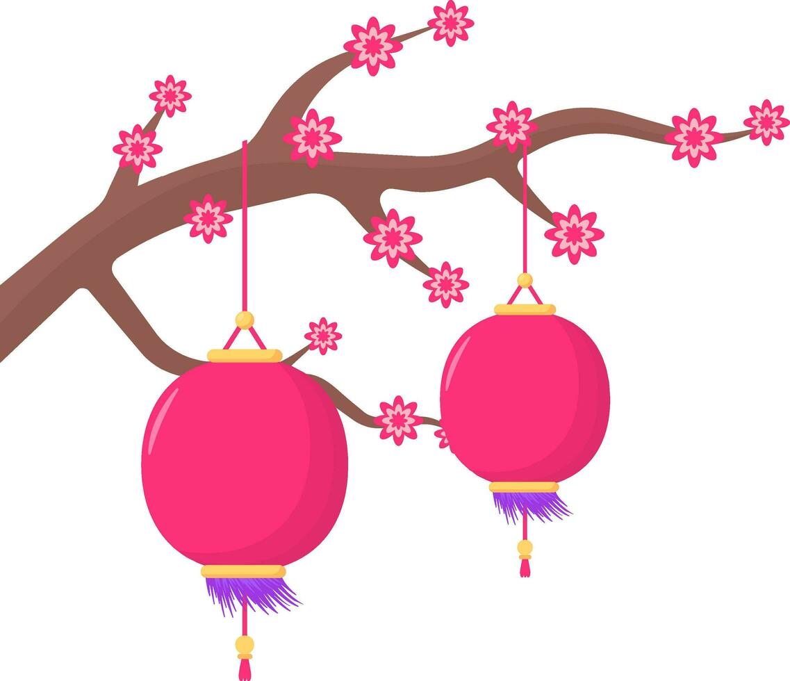 Hanging Chinese Lantern With Sakura Flower Branch On White Background. vector