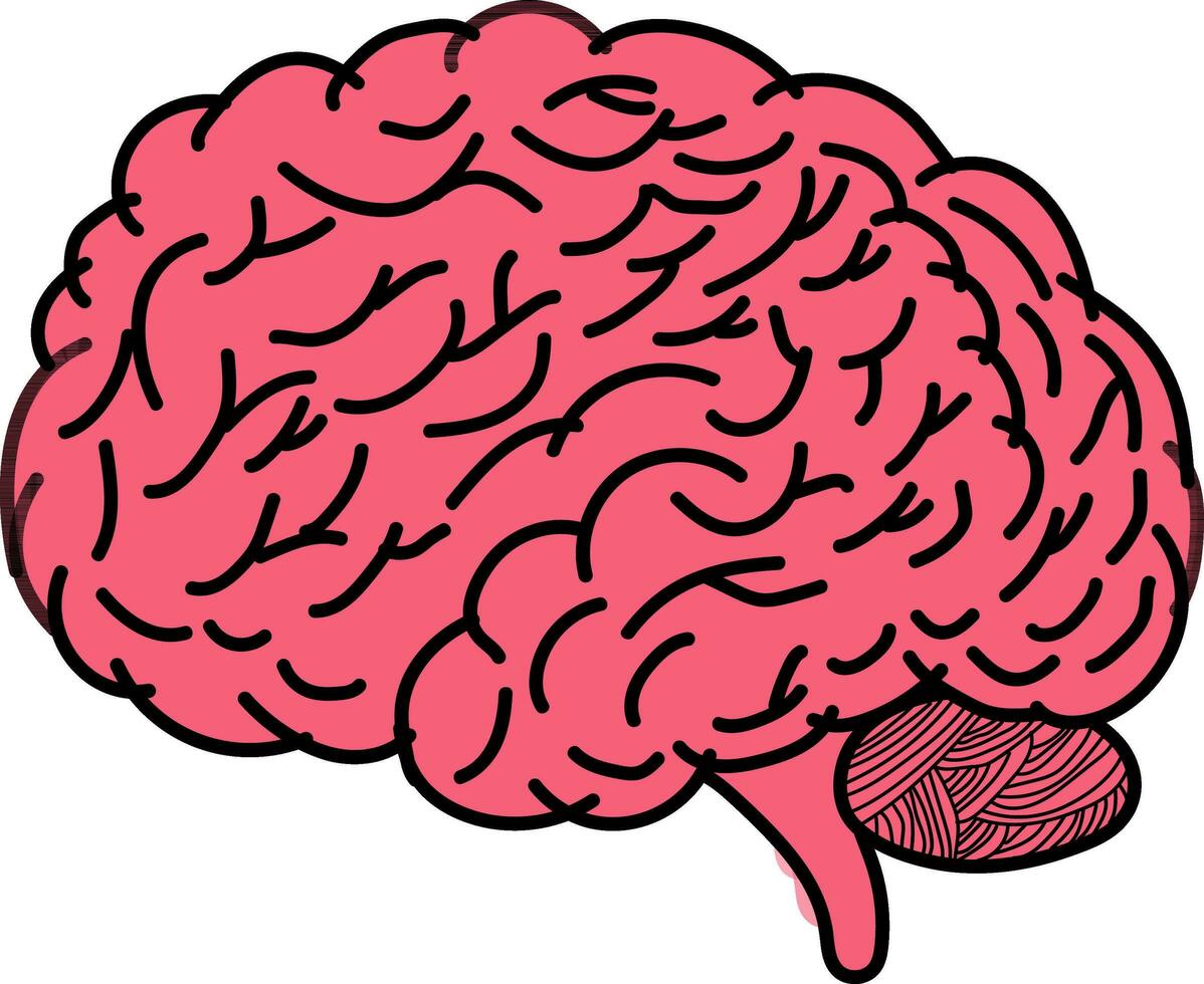 Isolated Human Brain On White Background. vector