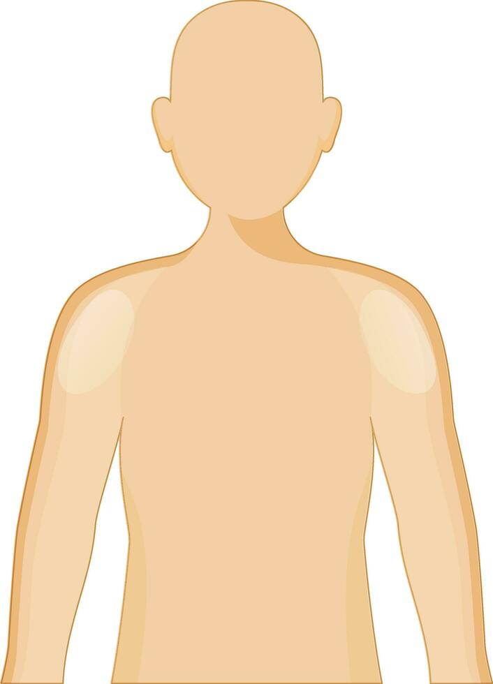 Orange Half Body Silhouette Man Vector. vector